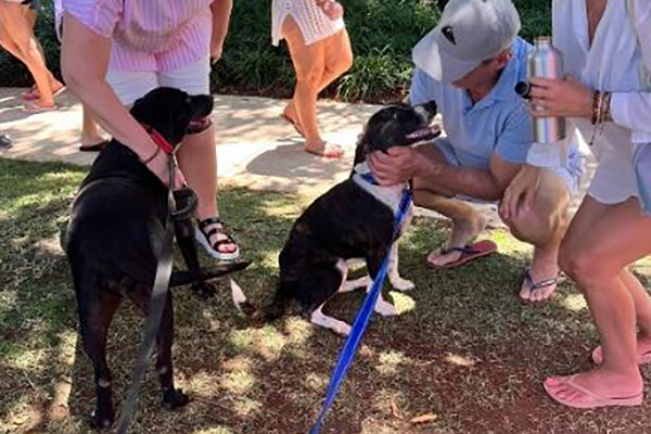 YAPPY HOUR Image 2